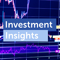 Insurance Linked Securities